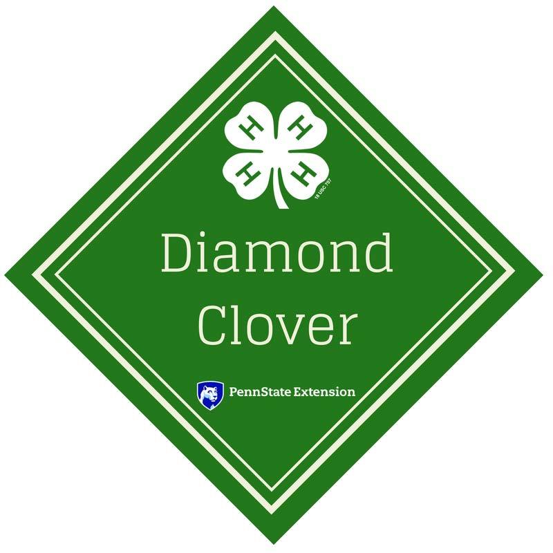 LEVEL 6: Diamond Clover a two-year level Member must complete EIGHT of the following over two years: 1. Serve as a club officer, committee chair, or teen leader (Working with Groups) 2.