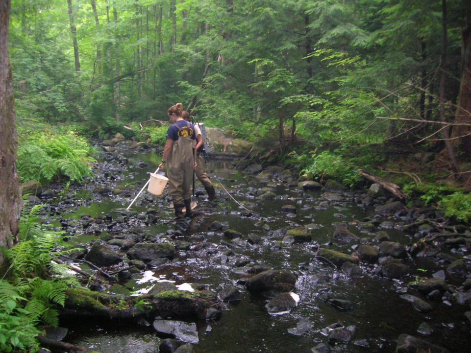 Figure A.3 - Rocky section of the Bean River with intact riparian zone. Lamprey River Headwaters Sixteen surveys were conducted in the Lamprey River Headwaters subwatershed.