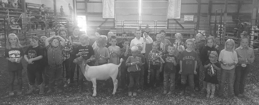 2017 Pee Wee Goat Showmanship This year at the county fair we had the Pee Wee Showmanship for youth 5-8 years old.