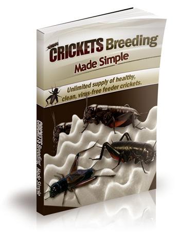 Crickets Breeding Made Simple Unlimited Supply Healthy, Clean &