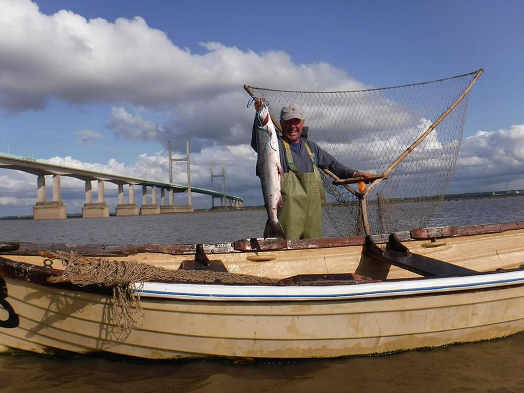 3.0 Net catch of Usk salmon 3.1 The catch for licensed net and fixed engines in the Severn Estuary declared to the licensing authorities was 103 salmon, provisionally.