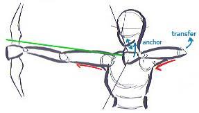 - Position your draw hand at the level of your front shoulder. Bow is slightly drawn. - Bow is now in line with the target; arrow & stabilizer are still pointed slightly off-target. 4.