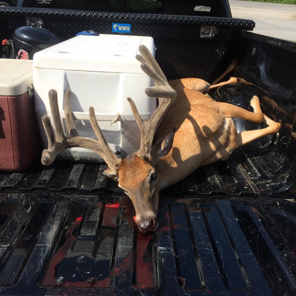 OCONEE COUNTY On March 21 st RFC Tim Butler and RFC Phillip Nelson completed an investigation of a large buck that was poached in July of 2014.