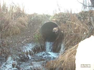 Lucy Lake Tributary Old Culverts: 36-inch Culverts Slopes 1.3-5.2% Perch: 0.3-2.4 ft.