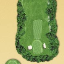 425 383 368 314 HCP 8 187 169 134 125 A naturalized area extends along the right side of the hole from tee to green.