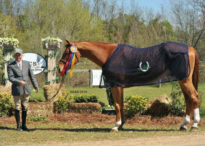 Hunter Class Specs USEF Rated Sections Entry Fee: $150 per section or $35/class 131, 132, 133, 134*, (135) $500 Green Hunter 3 136, 137, 138, 139*, (140) $500 Green Hunter 3 3 Circuit Champion Awards
