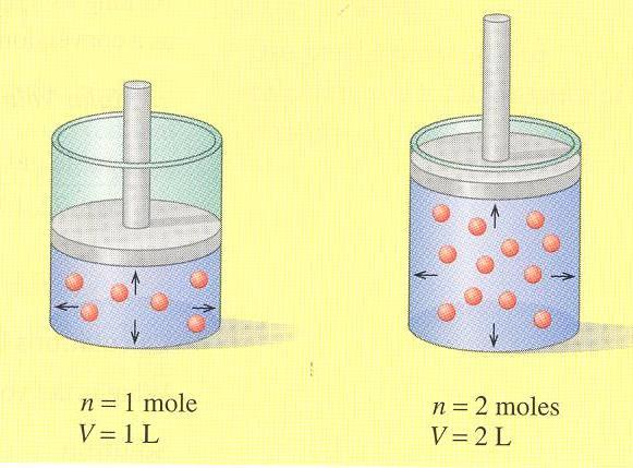 RELAIONSHI BEWEEN VOLUME & MOLES AVOGADRO S LAW At constant temperature and pressure, the volume of a fixed amount of gas is directly proportional to the number of moles.
