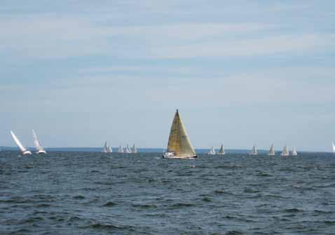 Charlettetown Race Week Photo: Steve Abbey cruising boats. Most boaters around here don t mind paying a little more to the folks actually doing the work. A fresher seafood treat couldn t be had!