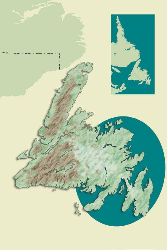 Labrador Newfoundland Nova Scotia Newfoundland 89 87 88 91 90 92 94 93 Newfoundland & Labrador 87 Bay of Islands