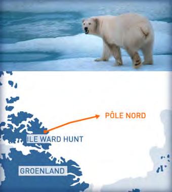 Polar Observer in Arctica ü 2010 : First