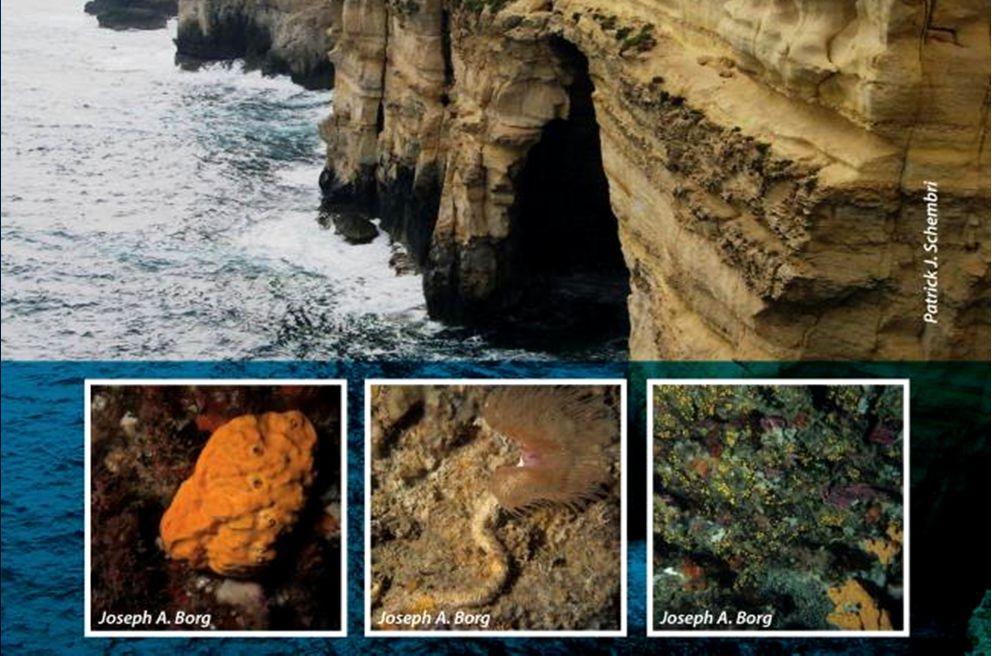 reefs, marine caves Surveys are conducted in coastal and offshore habitats within