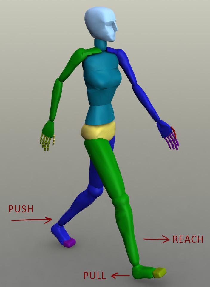 5 In walking, the push-reach-pull pattern is present in the legs: the forward leg reaches, and begins the pull phase by connecting the heel to the ground the foot pulling the body forwards.
