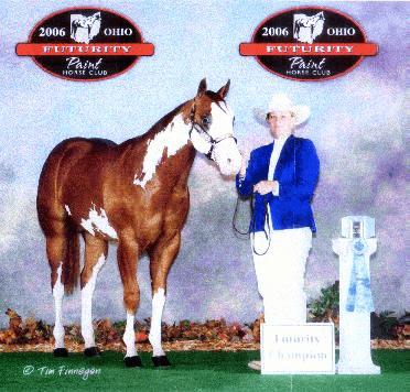 MR STYLISH TRADITION-APHA #820,553 2005 Sorrel Overo g 15.2 H Stud Fee $500 Kelly Rondeau 7456 Bolton Rd., Alpena, MI 49707. 989-354-7905 Transported Cooled Semen Available - N Mare Care - $?