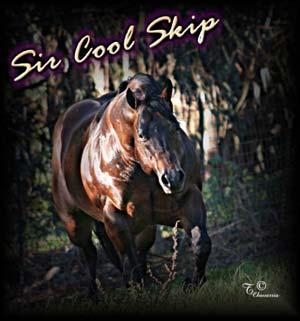 "Zip" is siring beautiful laid back foals that are very easy to train. See his website at www.scenicdreamacres.com. Samantha Rice - trainer and stallion manager 330-990-6611 or 912-313-0870.