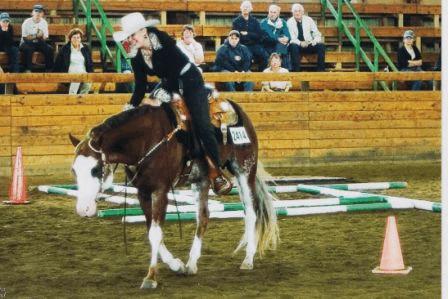 HEYHOWYADOIN - APHA #707,145 2002 Red Roan Overo g 15 H Stud Fee $650 Cathy Doyle 7820 9th Line, Chatham, ON N7M5J6.