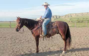 Luke was shown as a 2-year-old in the 50/50 Futurity (halter, pleasure, reining) winning $2,800; and shown in ranch horse competitions, started heading and ranched on.