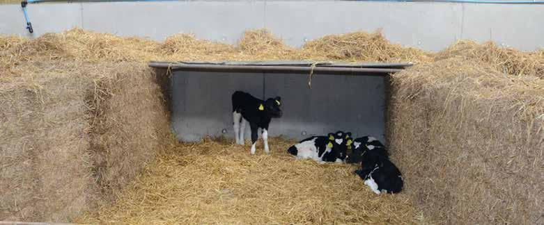 Section 8 Introduction Optimal animal welfare is an important part of Irish livestock farming.