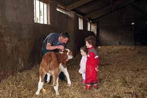 1 Why is there increased concern around the issue of calf welfare? Within the agricultural industry there is increased concern regarding the welfare of the artificially reared, dairy-born calf.