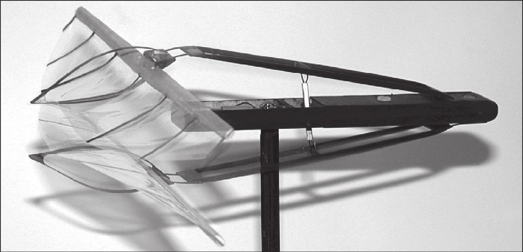Figure 8: Micro air vehicle model with flapping wings