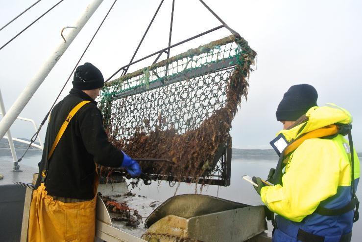 2. Introduction A pre-fishery survey of the native oyster beds in Lough Foyle took place in September 216. This survey was conducted by Agency staff on board local fishing vessels. 3.