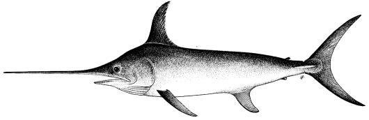 APPENDIX VI [ DRAFT ] RESOURCE STOCK STATUS SUMMARY SWORDFISH IOTC 2018 WPB16 R[E] Status of the Indian Ocean swordfish (SWO: Xiphias gladius) resource TABLE 1.