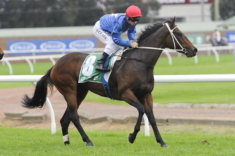 PRIME DISPATCH Edition 68 05/06/2015 Compiled by Joe o Neill SAVOUREUX coming back after her brave win at Rosehill She is a cracking filly how good?