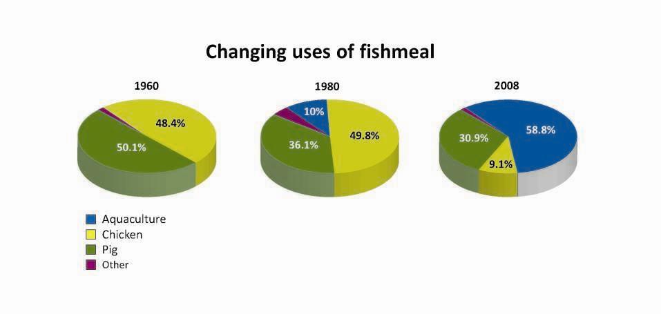 Fishmeal usage moves from