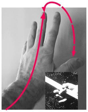 To illustrate the skin effect concept we put our forearm on the mat with the hand palm down. Using the other hand to loosely hold the arm near the wrist, move the arm along the mat.