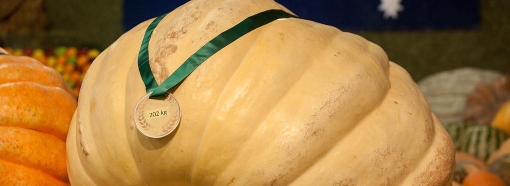 Overview The Royal Queensland Show (Ekka) Giant Pumpkin Competition is an iconic Ekka event, with the 2019 competition set to pack on the pounds for both the pumpkins and the prize pool.