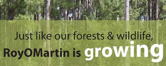 Check out RoyOMartin Forestry Services, a full-service forest management company that offers: Long-term land and timber management services Wildlife management