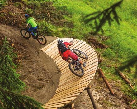 The world s first Uphill Flow Trail Uphill Flow mecca in the heart of the Bavarian Forest In order to provide the Uphill Flow experience on a trail for beginners and professionals, Bosch ebike
