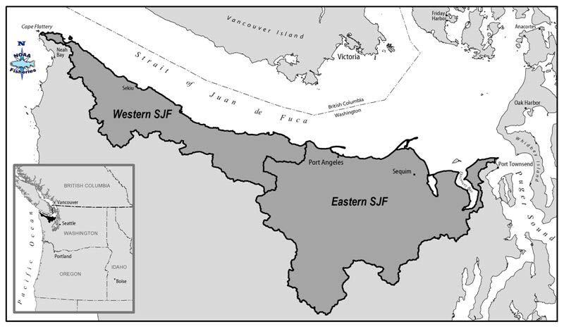 Figure 1. Location of the Western Strait of Juan de Fuca coho stock.