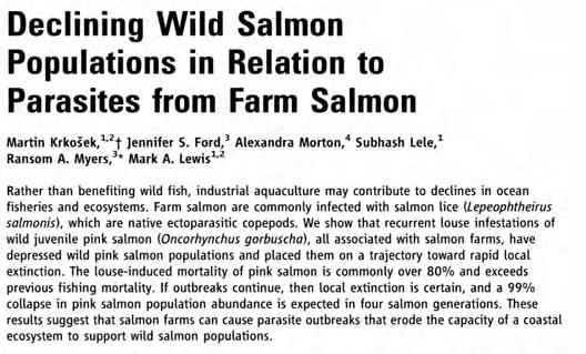 What is the impact of salmon