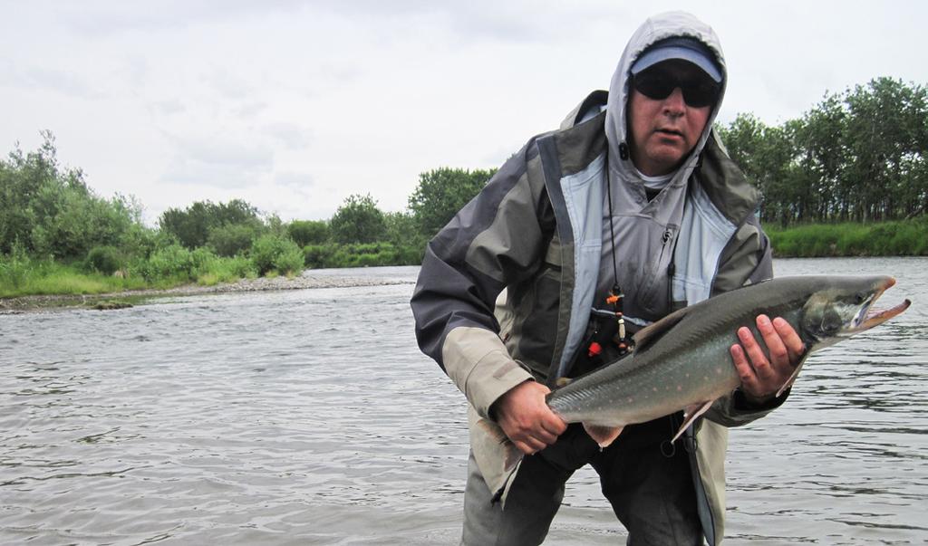 What was interesting when you look at the fishing log was that 7 species were caught, that evening which is an unusually high diversity for an Alaska river.