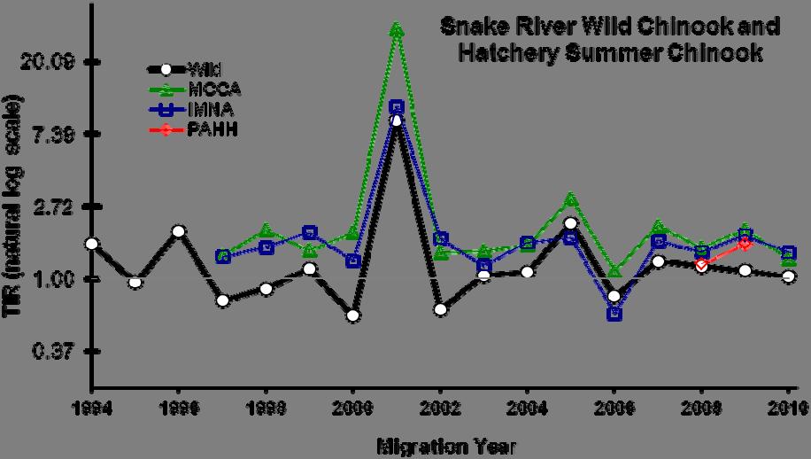 Figure A.. Trend in TIR on the natural log scale for PIT-tagged Snake River wild Chinook and hatchery summer Chinook for migration years 1 to 0.