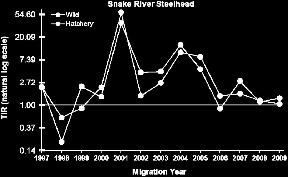 steelhead in migration years 1 to 00.