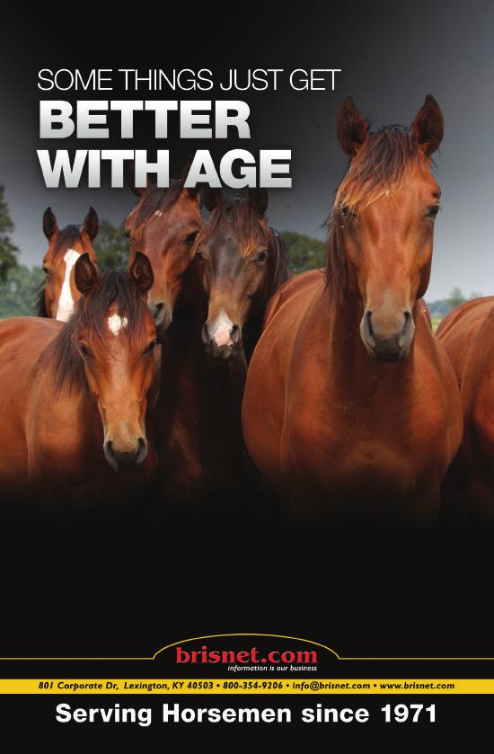 Brisnet.com was the original and is still the most innovative pedigree company in the Thoroughbred industry.