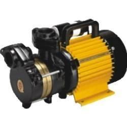 PLANT HAZARD REPORT Plant Description: Electric Pump PLEASE NOTE This plant information has been prepared to assist the purchaser in identifying hazards associated with the plant prior to the