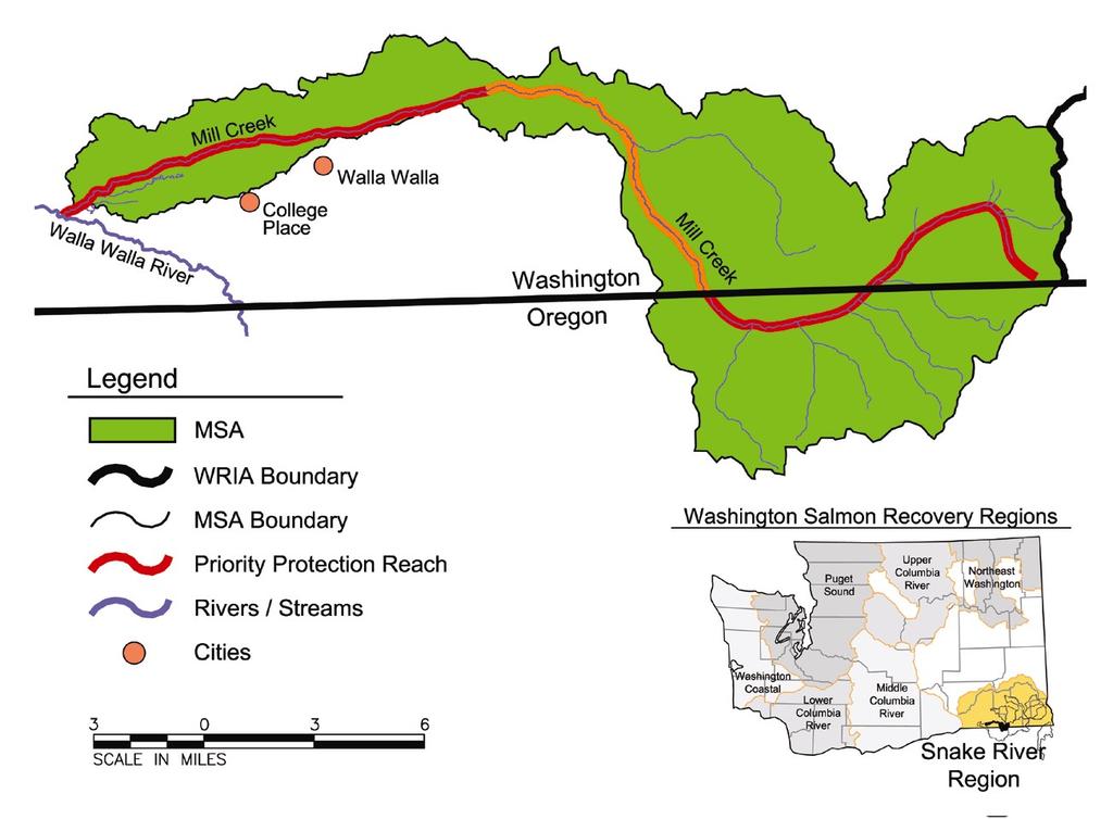 Mill Creek MaSA Mid Columbia River DPS Steelhead Columbia River DPS Bull Trout Imminent Threats: Remove obstructions, Screen diversions, Low Stream Flows Riparian Floodplain Function: protect