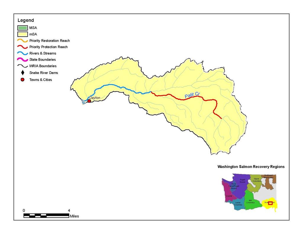 Patit Creek MiSA Mid Columbia DPS Steelhead Imminent Threats: Remove obstructions, Screen diversions Riparian Floodplain Function: protect existing condition Restore Riparian: protect