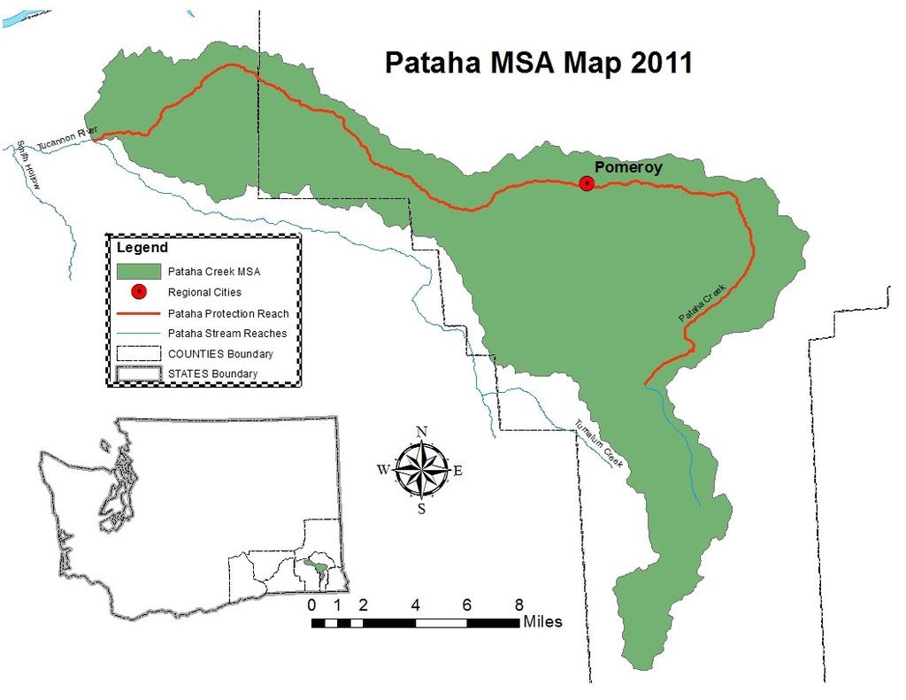 Pataha Creek MiSA Snake River DPS Steelhead Imminent Threats: Remove obstructions, Screen diversions Riparian Floodplain Function: protect existing condition Restore Riparian: protect
