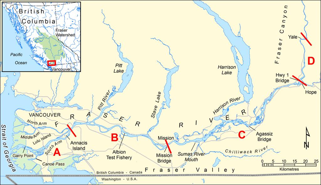 Figure 1. Illustration of the general study area and the location of the four sampling regions (A, B, C, and D) used to generate abundance estimates of White Sturgeon presented in this report.