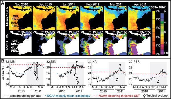 Marine heat wave 2011 a glimpse of the Future for WA reefs?