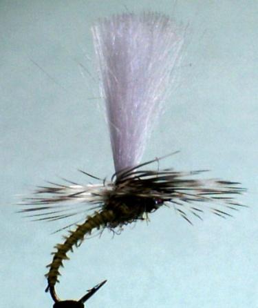 To start we have 3 dry flies as we are now approaching the cream of the dry fly sport on our still waters and rivers too.