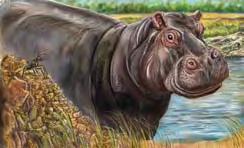 ant : tiny :: hippo : big robin : wing :: goldfish : fin bat : flit :: eagle : soar dog : bark :: lion : roar beaver : build :: spider : spin amphibian : frog :: mammal : moose 7 Which analogy uses