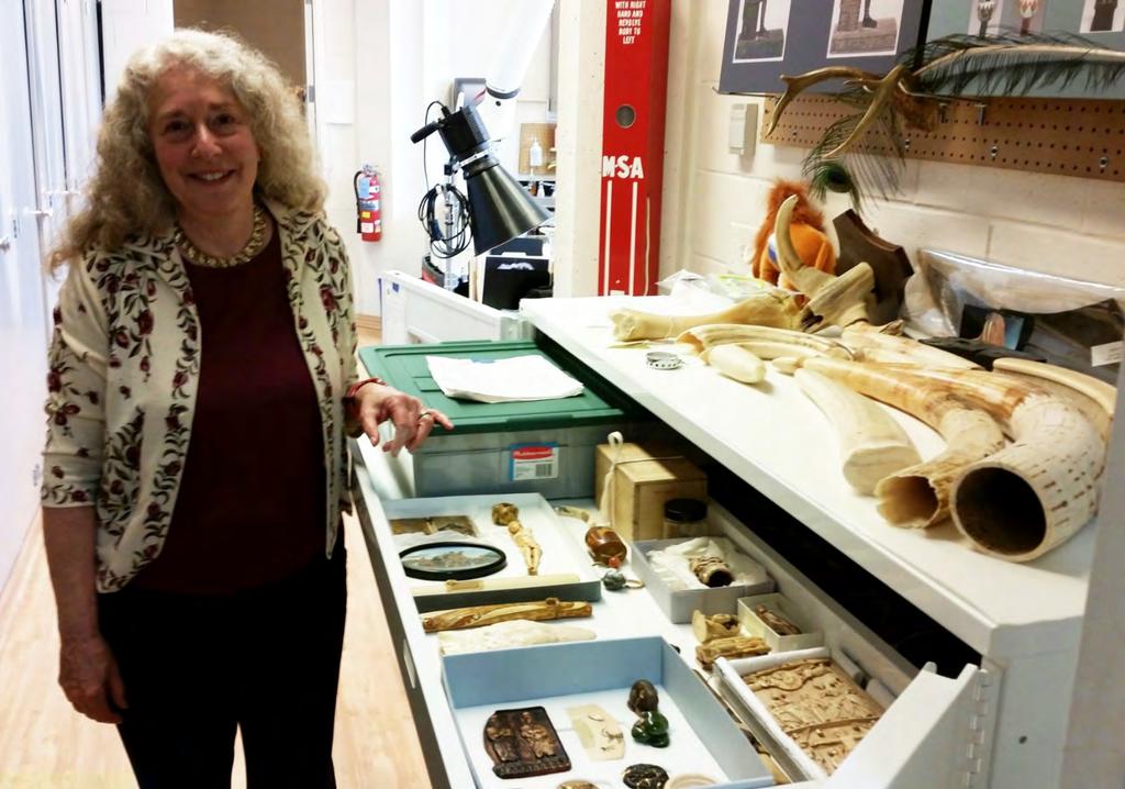 Ivory Identification Conservator Terry Drayman-Weisser and ivory reference