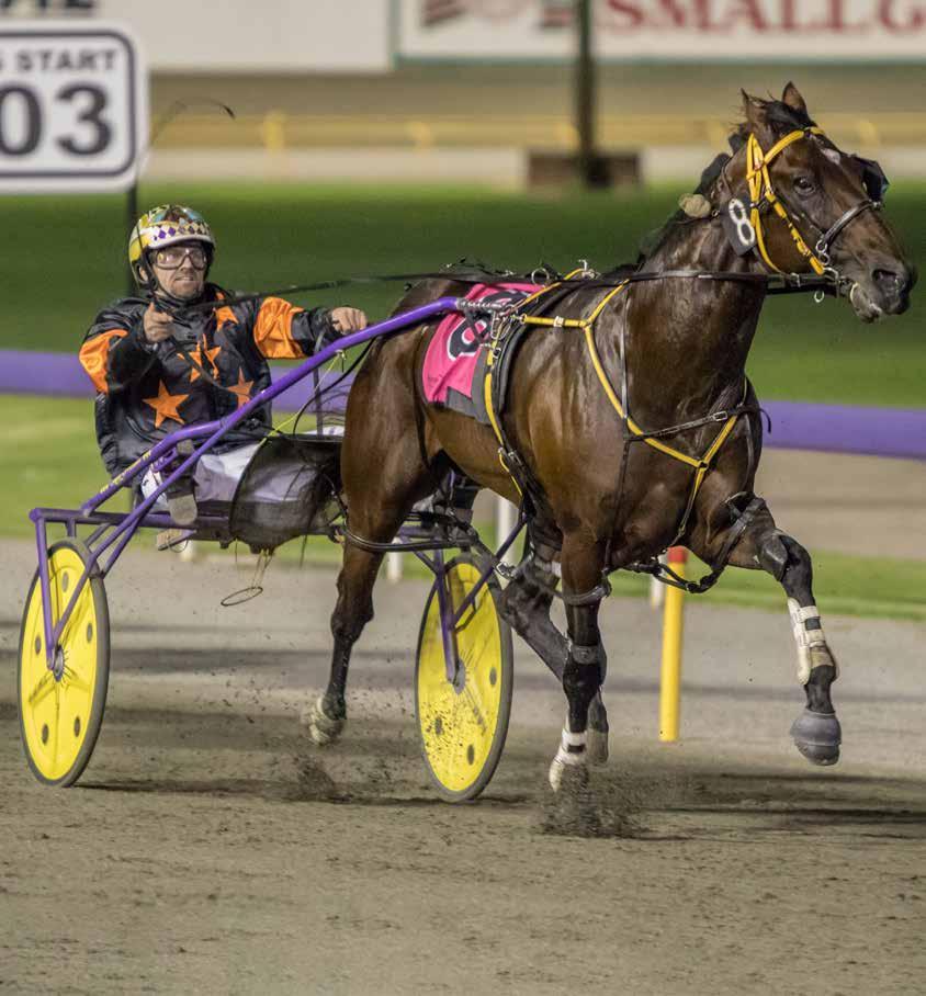Get the TABtouch advantage RACING AHEADWA Harness Racing February 2018 SOHO TRIBECA 2018 TABTOUCH WA PACING CUP Giddy-Up Expert ratings and speed maps SuperPick Choose your special Live Racing Watch