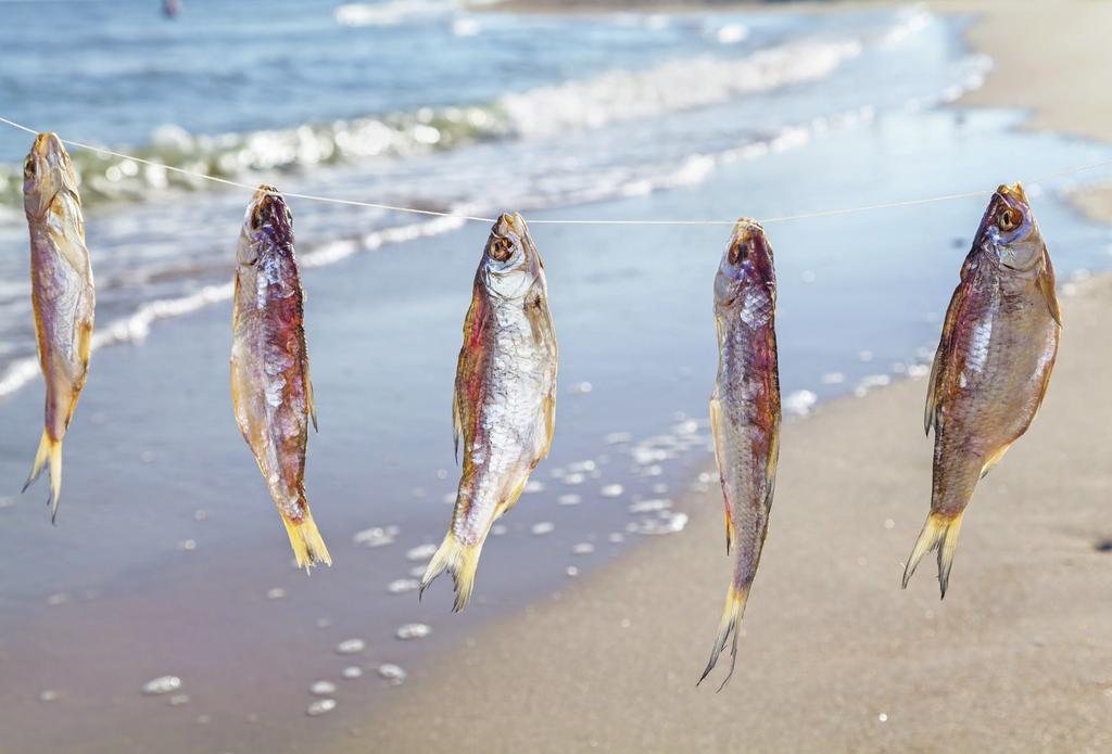 GLOBAL FISH ECONOMY Globefish highlights Bumper year for global seafood in 217 gives way to a more uncertain outlook for 218 Fotolia - Olga Glebska Global fish production increased by an estimated 2.