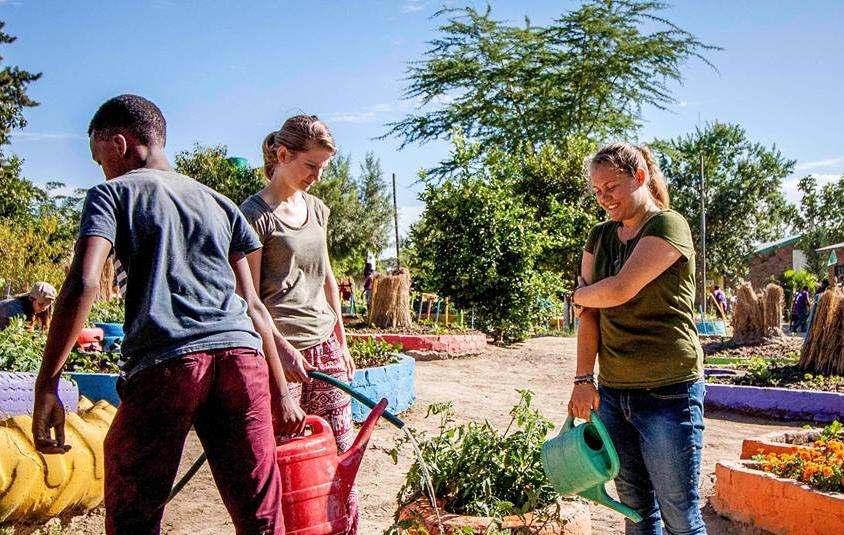 In order to support unemployed people in the community we assist in the creation and maintenance of vegetable gardens. This project empowers those involved to feed themselves and their family.