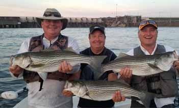 FORT LOUDON / TELLICO Photos above: big stripers